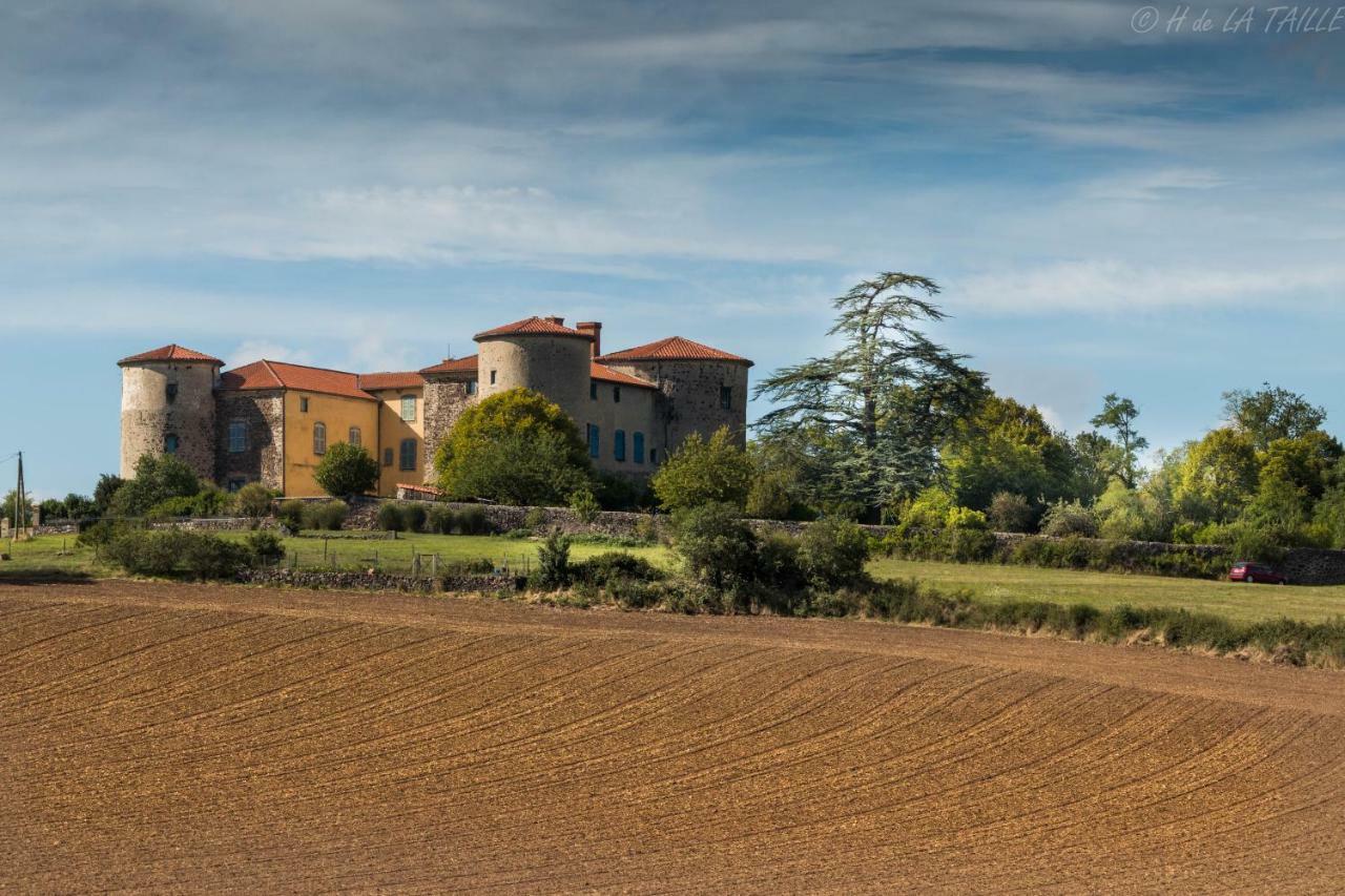 Chateau Des Grezes Agnat Exteriér fotografie